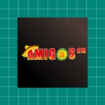 amigos 015 android application logo